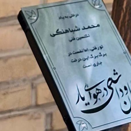 ۲۷ سالگی هوایار و گرامیداشت همکاران با کاشت شش درخت یادبود